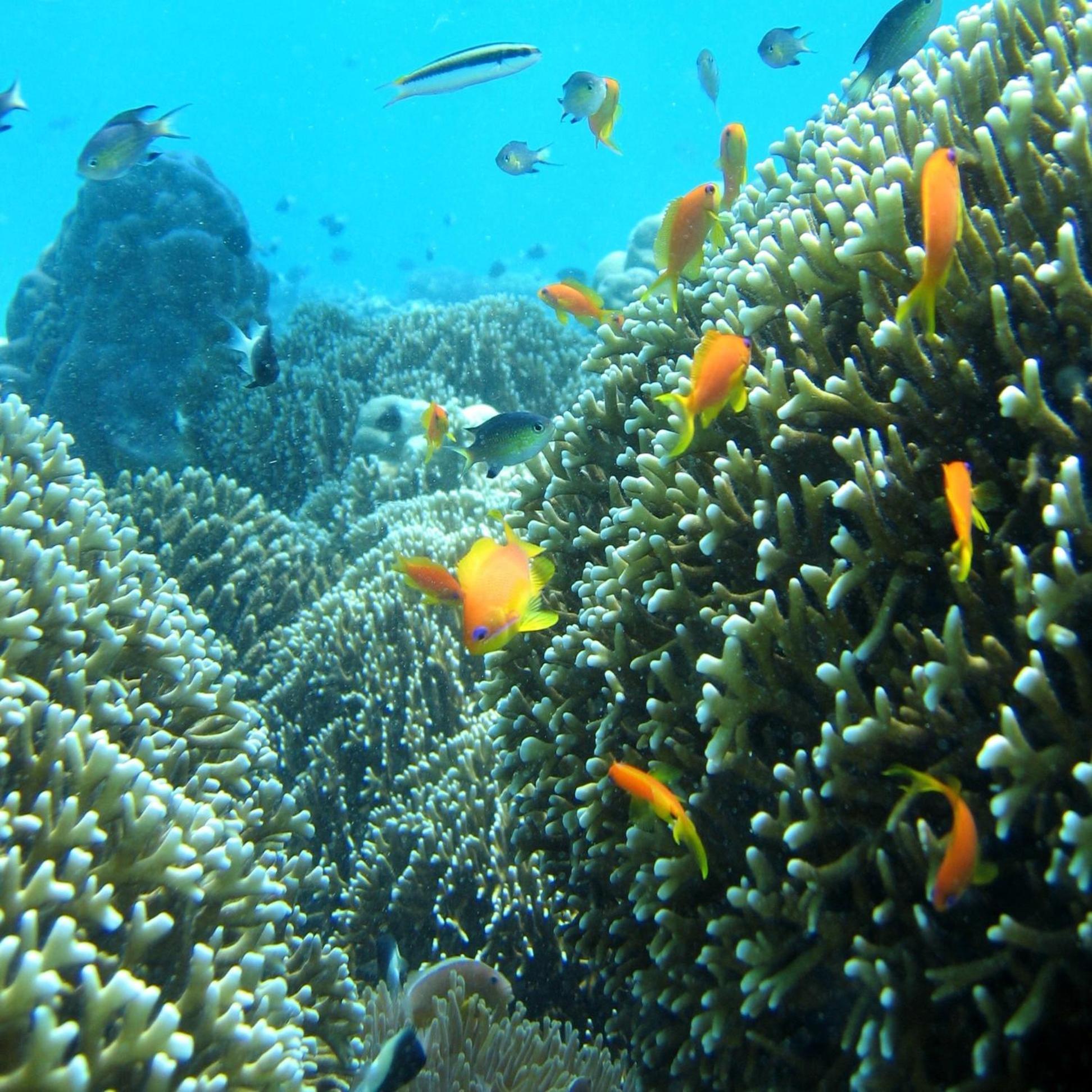 Chumbe Island Coral Park Hotel Mbweni Exterior photo