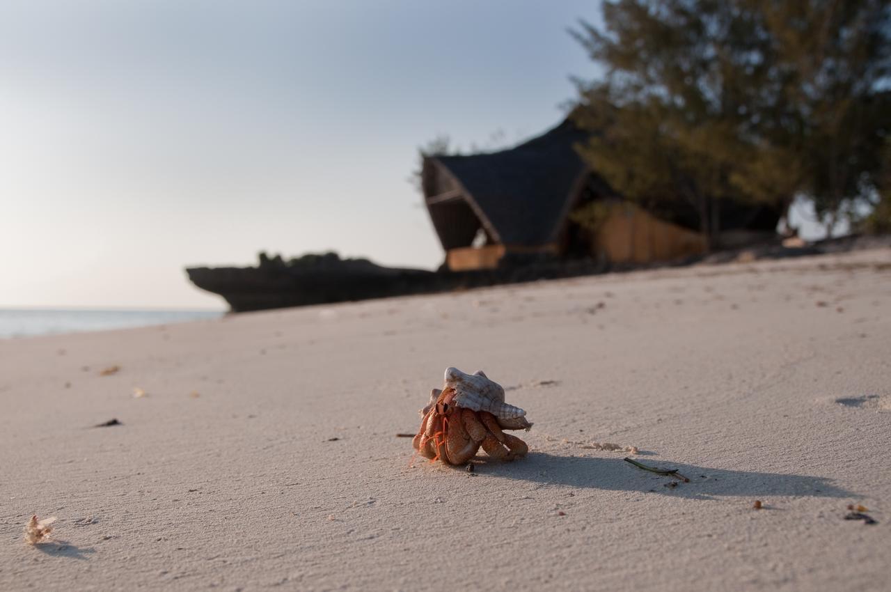 Chumbe Island Coral Park Hotel Mbweni Exterior photo