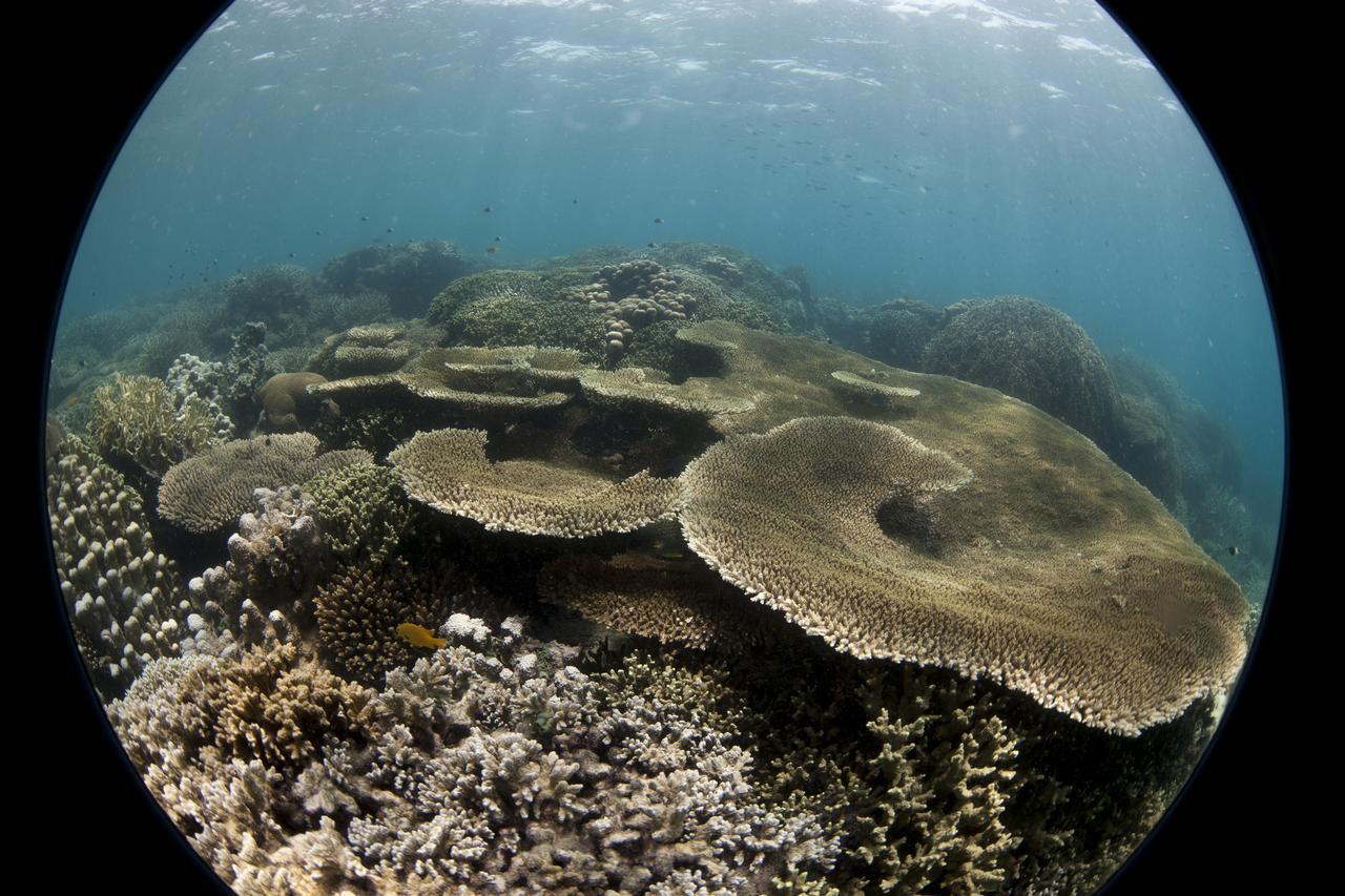 Chumbe Island Coral Park Hotel Mbweni Exterior photo